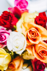 Joli bouquet de roses multicolores fraichement cueillies au jardin