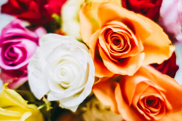 Joli bouquet de roses multicolores fraichement cueillies au jardin