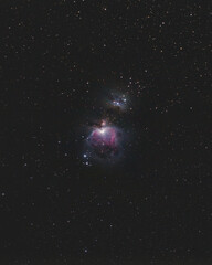 Orion Nebel M42