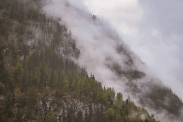 Dramatic fog over forest and dark mood in the mountains - Königssee Alps