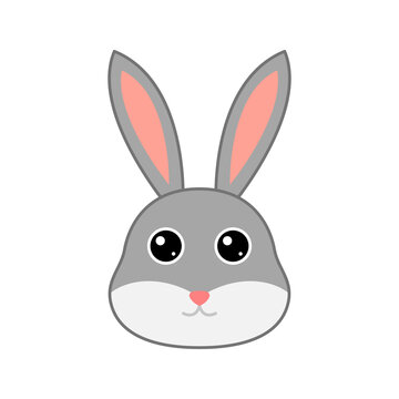 Cute Rabbit face isolated on white background