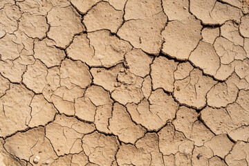 Dry soil (drought on the background of heat) or the crust of a mendal cookie.