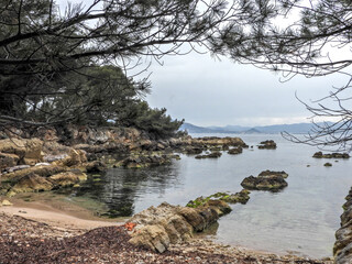 Paysage de crique et de sous bois de pins sur les îles de Lérins dans la baie de Cannes sur la...