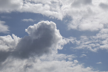 Cielo