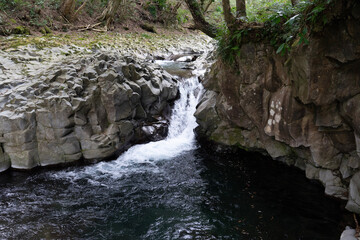 Obraz premium waterfall in the forest