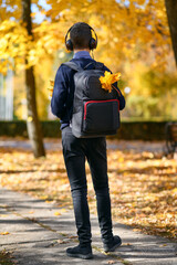 a teenage boy walks through an autumn park and listens to music with headphones, trees with yellow leaves on a bright sunny day