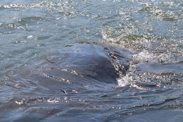 Obraz premium 川の流れの変化