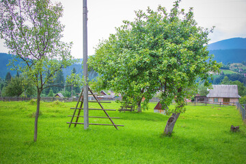 Carpathian courtyard. Blooming garden. Summer