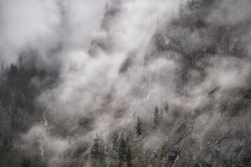 Dramatic fog over forest and dark mood in the mountains - Obersee Königssee Alps