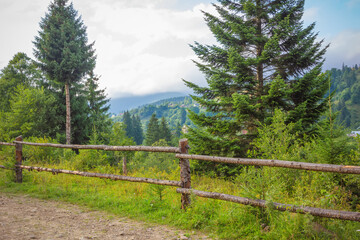 Fototapeta na wymiar Carpathians. Fence. View of Vorokhta