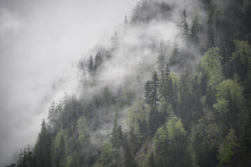 Dramatic fog over forest and dark mood in the mountains - Obersee Königssee Alps
