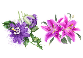 Fototapeta premium Watercolor flowers, pink lilies, violet passiflora isolated on white background.