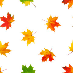 autumn maple leaf isolated on white background, SEAMLESS, PATTERN
