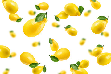 Falling lemon, isolated on white background, selective focus