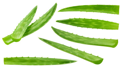 Aloe vera, isolated on white background, clipping path, full depth of field