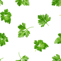 Parsley isolated on white background, SEAMLESS, PATTERN
