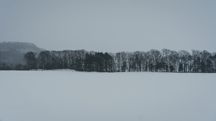 屈斜路湖　阿寒湖　摩周湖　白鳥　北海道　網走　能取岬　弟子屈