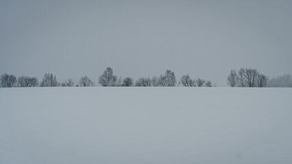 屈斜路湖　阿寒湖　摩周湖　白鳥　北海道　網走　能取岬　弟子屈