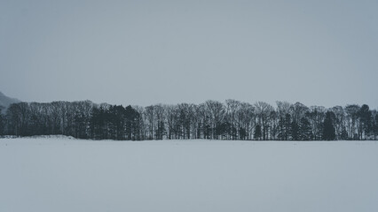 屈斜路湖　阿寒湖　摩周湖　白鳥　北海道　網走　能取岬　弟子屈
