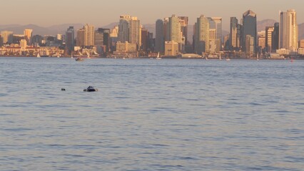 Obraz premium Downtown city skyline at sunset, San Diego cityscape, California coast USA. Highrise skyscrapers by bay, waterfront promenade. Urban architecture by harbor. Seamless looped cinemagraph. Shelter island
