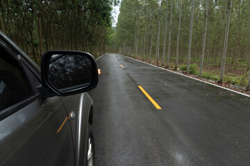 Beside front of car driving on wet asphalt roads. environment when it rains. Trees on both sides of the road to the end of the road curve in front. Road routes in the agricultural area of Thailand.