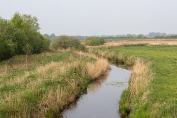 river in the field