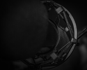 Microphone Detail in Black and White