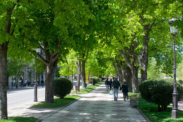 Fototapeta na wymiar Paseos en parques durante la primavera de Burgos, España. 
