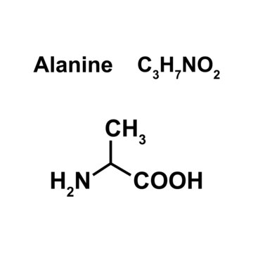 Alanine Amino Acid Chemical Structure. Vector Illustration.
