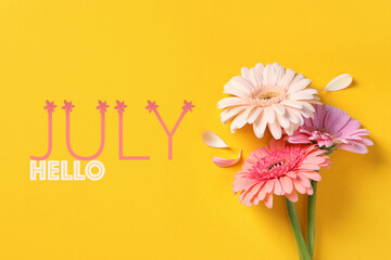 Hello July. Beautiful gerbera flowers on yellow background, flat lay - obrazy, fototapety, plakaty