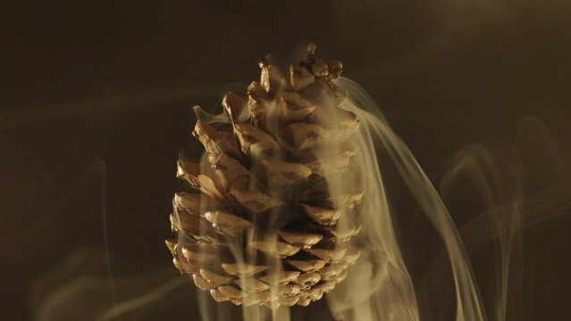 Pineal with smoke stream - upside down