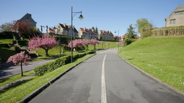 WatermaelBoitsfort Images Browse 362 Stock Photos, Vectors, and