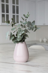 Vase with beautiful eucalyptus branches on white marble table in kitchen