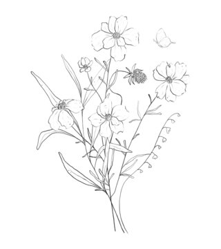 Botanic outline wildflower bouquet. Hand drawn floral abstract pencil sketch field flower arrangement isolated on white background line art illustration