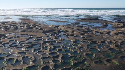 Eroded rock formation, tide pool in La Jolla, California coast, USA. Littoral intertidal zone erosion, unusual relief shape of tidepool. Water in cavity, hollows and holes on stone surface, low tide.