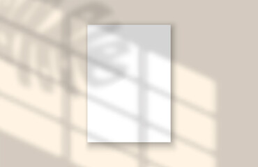 Realistic Vector Window and Leaf Shadow. Overlay effect for mock up template. Empty paper sheet with shadows.