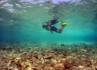 
snorkeling in a caribbean island, summer vacation in Venezuela