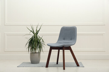 Modern grey chair and beautiful houseplant near white wall indoors