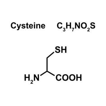 cysteine Amino Acid Chemical Structure. Vector Illustration.