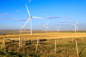Wind Turbine Windmill Renewable Energy Alberta Canada