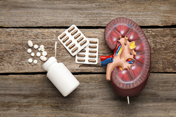 Kidney model and pills on wooden table, flat lay