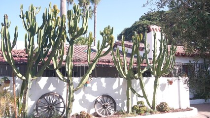 Old wooden wheel, white wall in mexican rural homestead garden. Succulent plants in provincial...