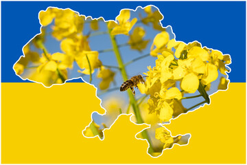 Da die Ukraine durch den russischen Angriffskrieg im Frühjahr 2022 als größter Exporteur von...