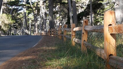 17-mile drive scenic road, Monterey peninsula, California, USA. Road trip thru cypress tree forest, coniferous evergreen pine woodland, grove or woods. Pacific coast highway tourist route near Big Sur