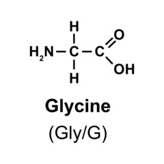 Glycine Amino Acid Chemical Structure. Vector Illustration.