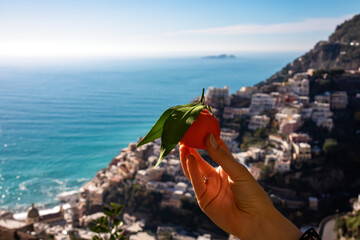 Selective soft focus on person holding orange fruit with leaf. Panoramic blurred view on town...