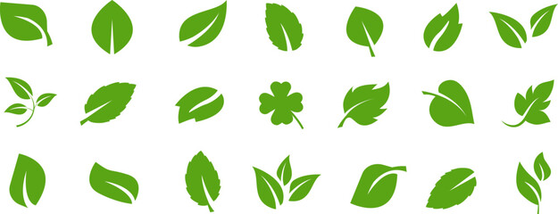 Collection of green leafs. Vector illustration. EPS 10