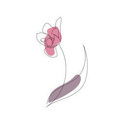 tulip line art illustration