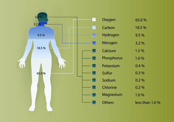 illustration of biology and medical, minerals in the human body, a mineral is a chemical element required as an essential nutrient by organisms, chemical composition of the human body