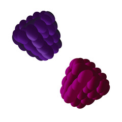 raspberry and blackberry isolated on white background